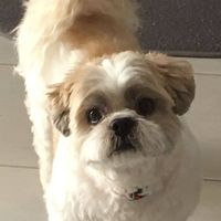 Loretta Mack's profile image