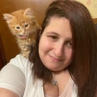 Stephanie Ingram's profile image