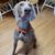 Jane Potthoff's profile image