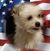 Thomas C. Caldwell Jr.'s profile image