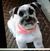 Luanne Simpson's profile image