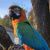 Laura Spencer's profile image