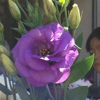 Sandy Miyashiro's profile image