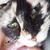 Monica Majero's profile image