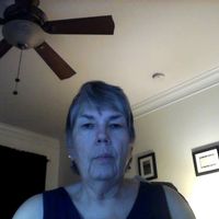 Harry Sheppard's profile image