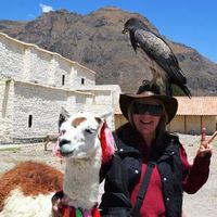 Deenie Tallant's profile image