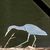 Debra Luckett's profile image