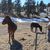Lynn Zaremba's profile image