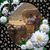 Magdi Mahfouz's profile image