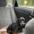Frankie Trevitz's profile image