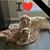 Sharon Schottel's profile image