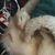 Lisa Bryant Allman's profile image