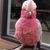Bob Smith's profile image