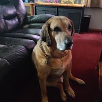 Ray Wilson's profile image