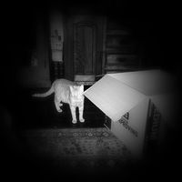 Peggy DeLaughter's profile image
