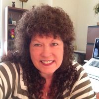 Judy DeSalvo's profile image