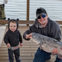 Dakota Dalsing's profile image