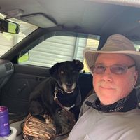 Sam Campbell's profile image