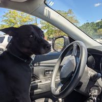 Stephen Moore's profile image