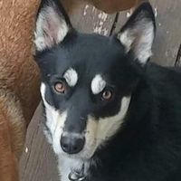 Ernie G Rumsby's profile image