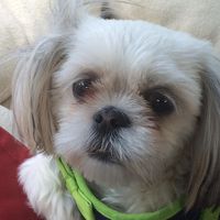 Brenda Grubb Adams's profile image