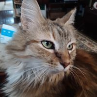 Bill Murphy's profile image