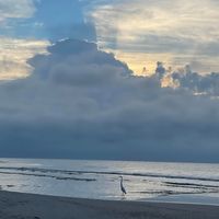 Angie Hess's profile image