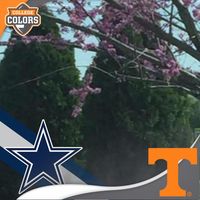 Carlos Dorris's profile image