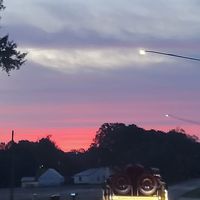 Susan Hedrick's profile image