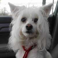 Sherry Murdock's profile image