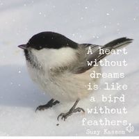 Katherine Marie Haynes's profile image