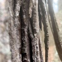 Anna Ashton's profile image