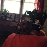 Rodney Solesbee's profile image