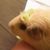 Yoona Seol's profile image