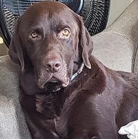 Sasha Huff's profile image