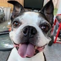 Donna Young Baxter's profile image