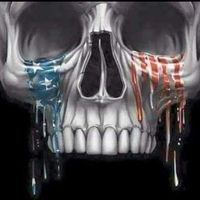Mike Totman's profile image