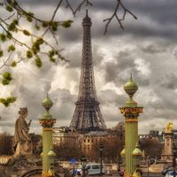 Julianna Jaworski-erwin's profile image