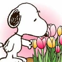 Sandy Blankenship's profile image