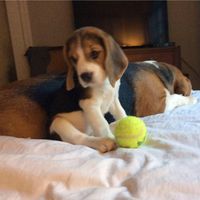 Brian Nixon's profile image