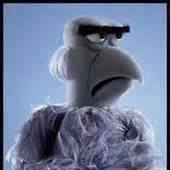 Dan Brodeur's profile image