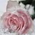 Kimberly Ann's profile image