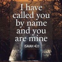 C Gayle McAdoo Wilson's profile image