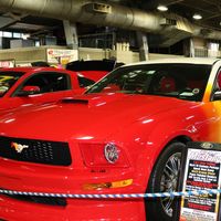 Steve Young's profile image