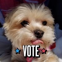 Tami Kemper-Carosielli's profile image