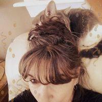 Mandy Fischer's profile image