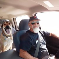 Joe Scaramuzzo's profile image