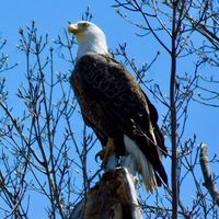 Ron Houtman's profile image