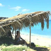 Dionne Rousseve Lewis's profile image