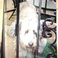 Steve Baird's profile image